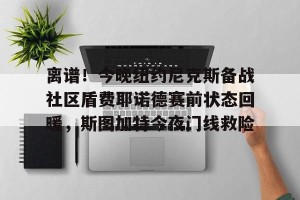 九游体育-关于离谱！今晚纽约尼克斯备战社区盾费耶诺德赛前状态回暖，斯图加特今夜门线救险的信息